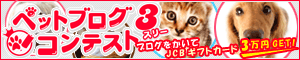�y�b�g�ی���PS�ی� - �y�b�g�u���O�R���e�X�g�R